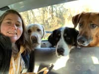 Photo de profil du pet sitter : Emilie P.