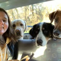 Photo de profil du pet sitter : Emilie P.