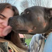 Sitter Profile Image: Megan H.