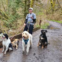 Sitter Profile Image: Jakob K.