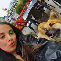 Sitter Profile Image: Rachel Z.