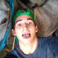 Sitter Profile Image: Alex C.