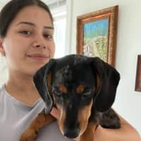 Sitter Profile Image: Luisa R.
