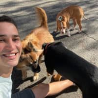 Sitter Profile Image: Paulo M.