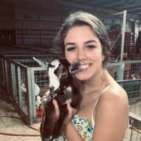 Sitter Profile Image: ashley b.