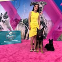 Sitter Profile Image: Jen S.