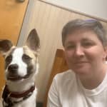 Sitter Profile Image: Lisa S.