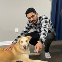 Sitter Profile Image: Parik V.