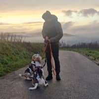 Sitterprofilbild: Hannah Z.