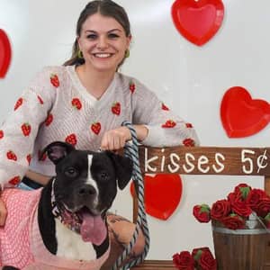 Sitter Profile Image: Ali H.