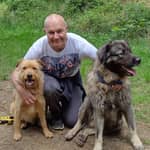 Sitter Profile Image: Mark B.