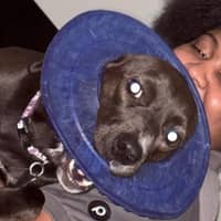 Sitter Profile Image: Rasheeda A.