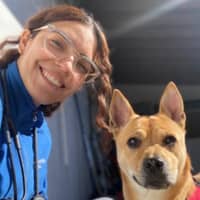 Sitter Profile Image: Joyce E.