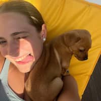 Photo de profil du pet sitter : Stéphanie G.