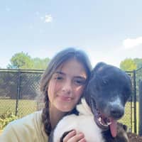 Sitter Profile Image: Abigail M.