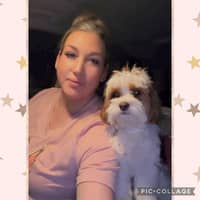 Sitter Profile Image: Brittany H.