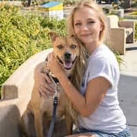 Sitter Profile Image: Elena B.