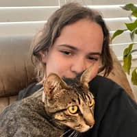 Sitter Profile Image: Allison C.