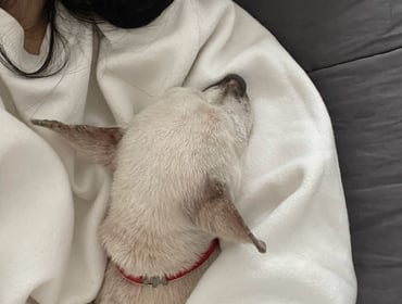 Image 0