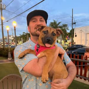 Sitter Profile Image: james N.