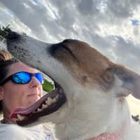 Sitter Profile Image: Kim & David M.