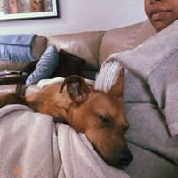 Sitter Profile Image: Carmen P.