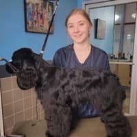 Sitter Profile Image: Casey T.