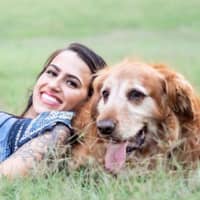 Best Dog Boarding In Banner Elk Nc Rover Com