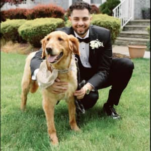 Sitter Profile Image: Bishoy A.