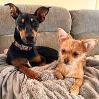 Sitter Profile Image: Shannon D.