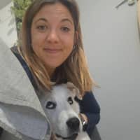 Immagine del profilo del sitter: Sara S.