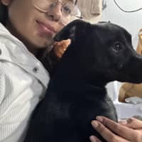 Foto del cuidador: Luisa Maria P.