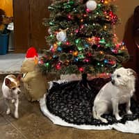 Sitter Profile Image: Samantha D.