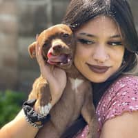 Sitter Profile Image: Natalie M.