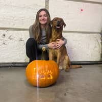 Sitter Profile Image: Julia S.