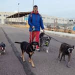 Sitter Profile Image: Adrian T.