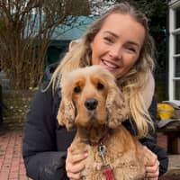 Sitter Profile Image: Alix K.