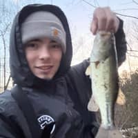 Sitter Profile Image: Nathan P.