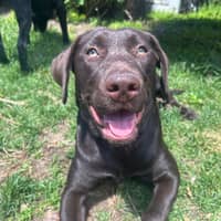 Sitter Profile Image: Steph C.