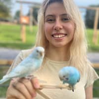 Sitter Profile Image: Maiia K.