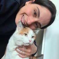 Passarens profilbild: afsane t.