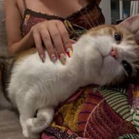 Sitter Profile Image: Gemma W.