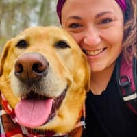 Sitter Profile Image: Dominique L.