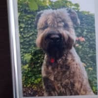 Sitterprofilbild: Patricia M.