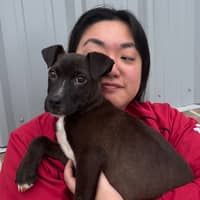 Sitter Profile Image: Tiffany Joy I.