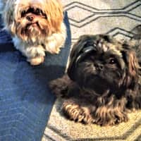 Sitter Profile Image: Kim K.