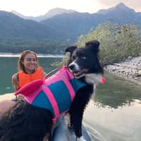 Immagine del profilo del sitter: Laura C.