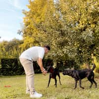 Photo de profil du pet sitter : Cécile L.