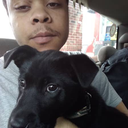 Sitter Profile Image: Dezshun S.