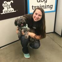 Sitter Profile Image: Marissa B.